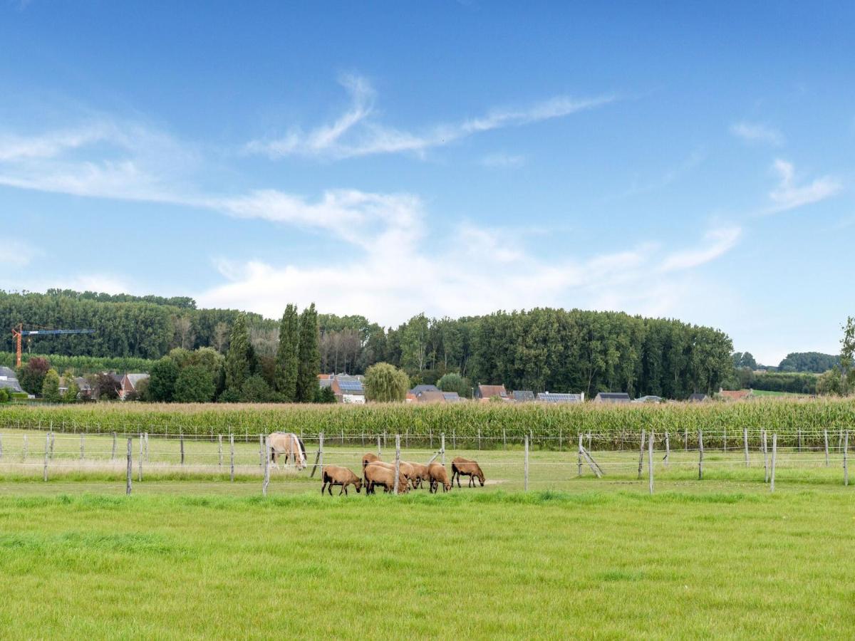 Stunning Holiday Home In Oombergen With Terrace And Garden Zottegem 외부 사진